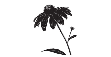 Detailed black and white echinacea flower silhouette with a bud and leaf