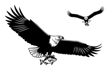 american eagle in flight black and white