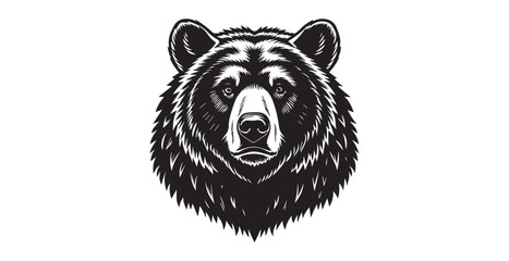 Intense grizzly bear head illustration with detailed fur texture silhouette © arif