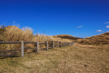 Fototapeta premium Wooden Fence in Dry Grass Field with Blue Sky at Mount Aso, Kyushu, Japan