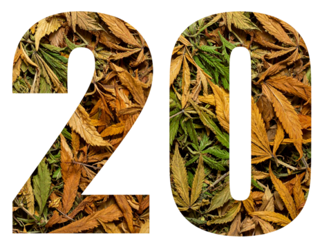 Number 20 Formed with Dried Cannabis Leaves and Rustic Texture, isolated on transparent background