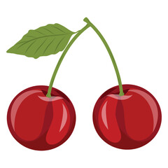 Sweet and fresh cherry berries with leaf, isolated vector illustration on a white background, hand drawn cherry  icon
