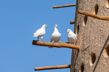 Dovecotes in Katara cultural village, Doha, Qatar