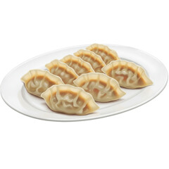 Delicious Asian Dumplings on a White Plate