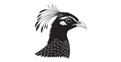 Elegant peacock head with detailed feathers and crest silhouette © arif