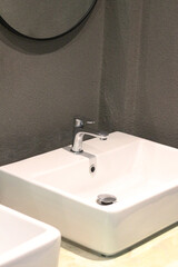 Sink and mirror bathroom decoration