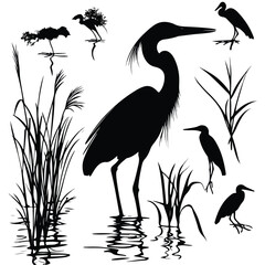  great blue heron silhouette