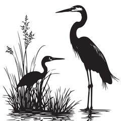  great blue heron silhouette