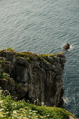 Cliff with flowers in Gaztelugatxe