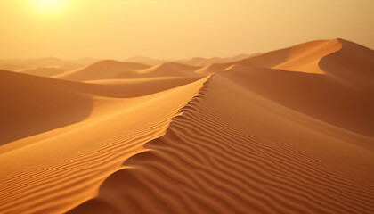 Dramatic landscape of sand dunes in the desert under a warm sunset