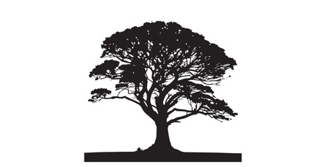 Majestic ancient tree with spreading branches against a bright white sky silhouette © arif