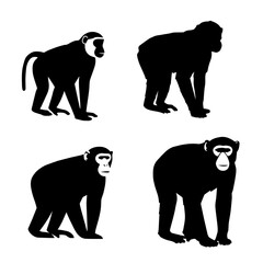 Ape or chimpanzee silhouette set. Vector icons of a primate for wildlife, zoo, and animal themes.
