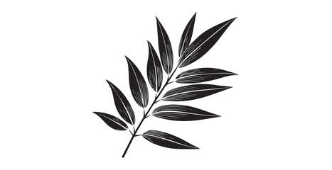 Elegant black leaf branch with thin lines silhouette
