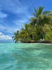 A stunning tropical island scene featuring crystal-clear turquoise water, swaying palm trees, and a...