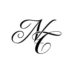Elegant NT Monogram Logo in Black Script – Luxury Calligraphy Initial Design on White Background