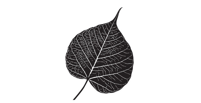 Detailed black and white bodhi leaf vein pattern silhouette