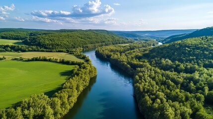 Aerial view of a river running through a green forest in a natural park