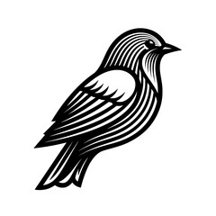 Fototapeta premium Modern Line Art Style Bird Illustration