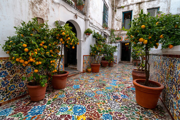 Naklejka premium Colorful courtyard surrounded by white stucco walls and patterned ceramic floor tiles, potted citrus trees placed in corners