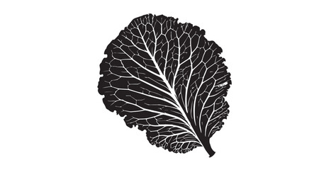 Detailed black and white cabbage leaf vein structure silhouette