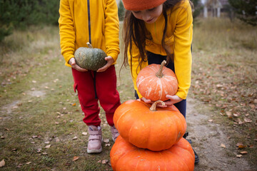 kids with orange pumpkins outdoors countryside in autumn for thanksgiving or halloween