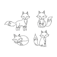 Cute fox illustrations (1)