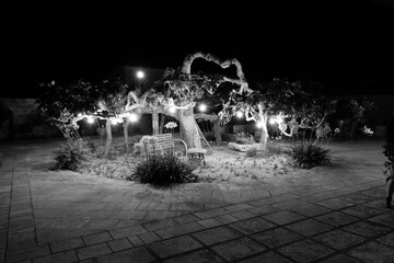 masseria
