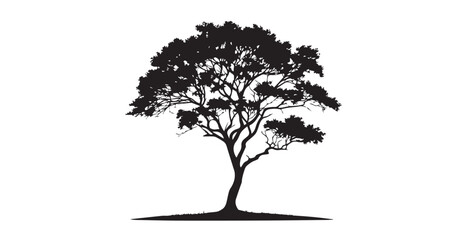Detailed black silhouette of a majestic tree with spreading branches and foliage © arif