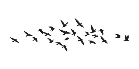  Flying Birds Flock
