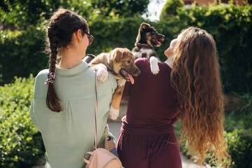 Rear view of two women that are standing and holding dogs in hands