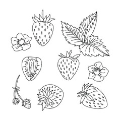 Hand-drawn strawberries and leaves