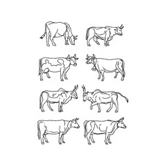 Outline drawings of diverse cattle