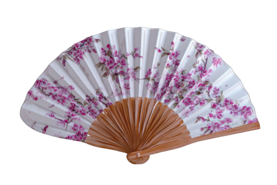 Decorative Asian Hand Fan (1)