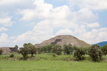 View of the Pyramid of the Moon and Nopal with its prickly pear Teotihuacan Mexico, UNESCO World Heritage
