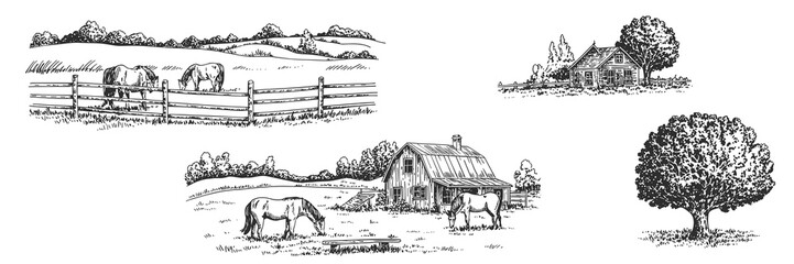 Sketch landscape with horses, farm house, tree. Countryside drawing. Hand drawn, isolated