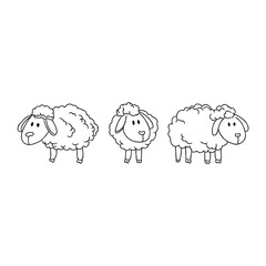 Three simple sheep drawings