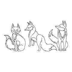 Three stylized foxes