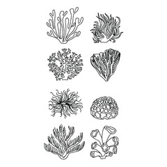 Underwater plant illustrations (1)