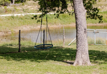 swing on a tree next to a pond