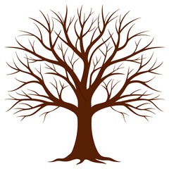 Bare Winter Tree Illustration