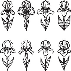 Iris Dutch or Bearded Black Line Editable Icons