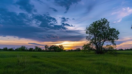 Vibrant Twilight Meadow with Wildflowers Under Gradient Magenta Sky, Expansive Open Field Landscape Featuring Golden Horizon Glow and Distant Tree Silhouettes, Empty Space