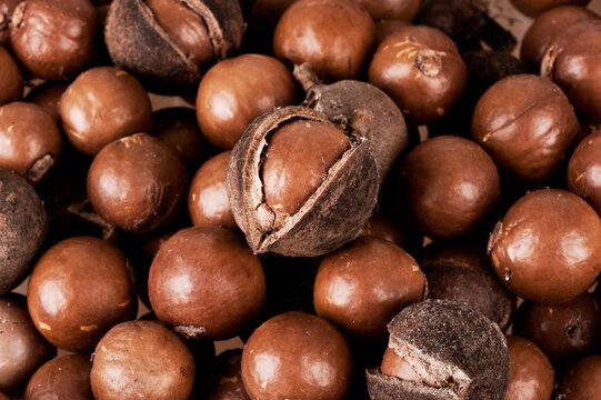 Brown macadamia nuts