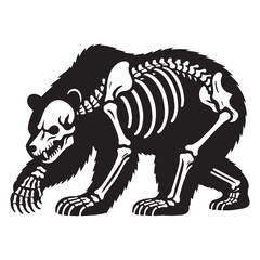 Arctic to temperate – Bear skeleton silhouette joined by refined Bear skeleton vector – Bear skeleton illustration


