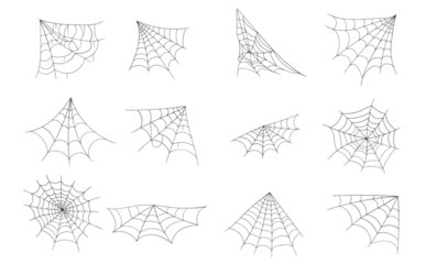 PNG isolated spider web vector icon round design grid net pattern black white background decoration halloween circular arachnid horror creepy thread mesh trap scary symbol tattoo art

