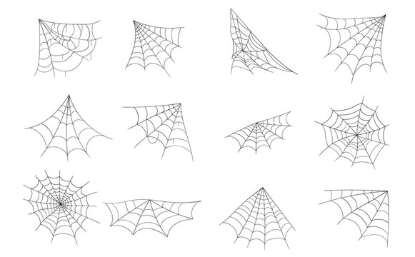 PNG isolated spider web vector icon round design grid net pattern black white background decoration halloween circular arachnid horror creepy thread mesh trap scary symbol tattoo art

