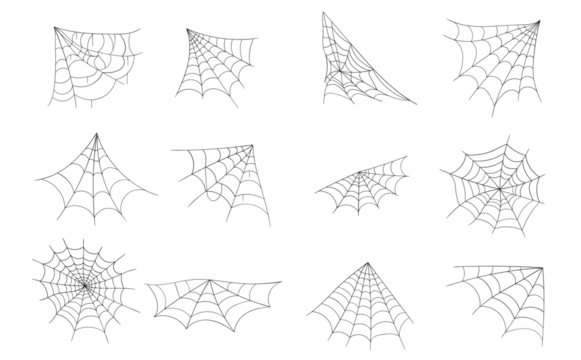 PNG isolated spider web vector icon round design grid net pattern black white background decoration halloween circular arachnid horror creepy thread mesh trap scary symbol tattoo art

