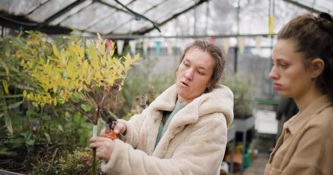 Woman using yellow tree pruners in a garden center while explaining plant care techniques to a young girl, showcasing gardening expertise and nature appreciation.