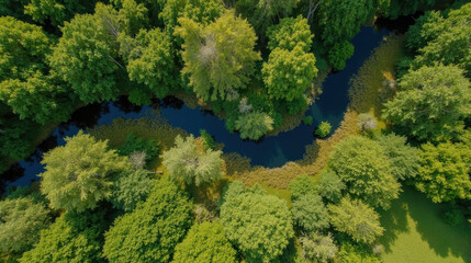 Naklejka premium Lush green forest surrounds winding river, showcasing vibrant foliage and tranquil waters, creating serene natural landscape