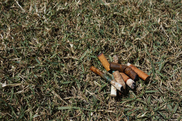Discarded cigarette butts are often the cause of forest fires, trash 